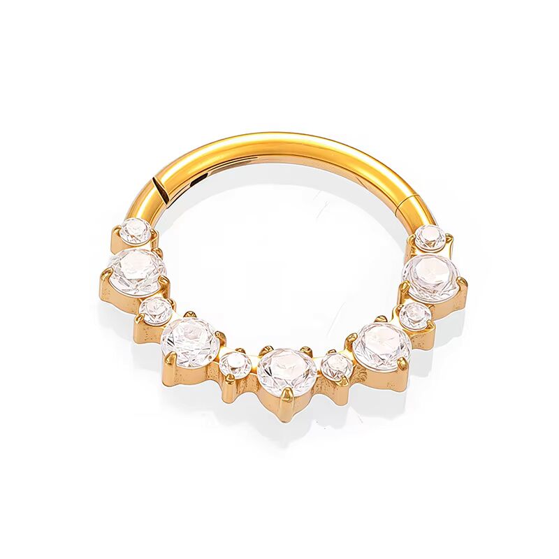 Piercing anneau en titane Allé Raisons d'Adopter – BIJAN PARIS