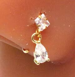 Piercing Nerp